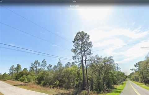 00 VIOLA COURT DUNNELLON FL 34431