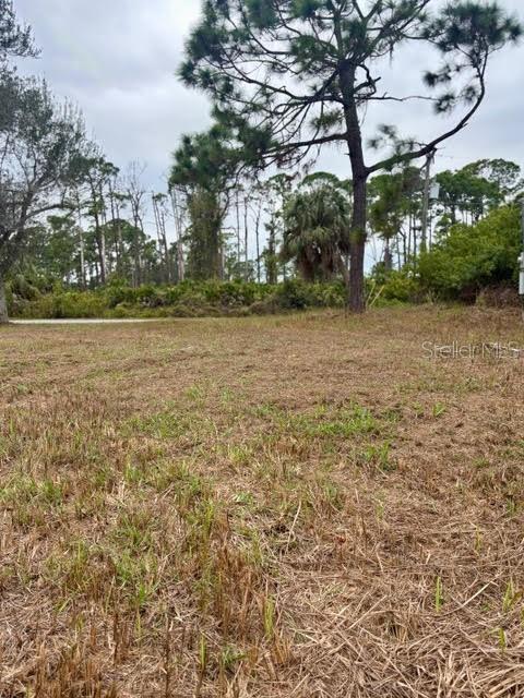 PORT CHARLOTTE SEC55 - Land