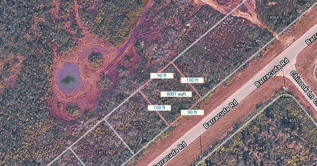 Photo of 14036 Barracuda Road, Placida, FL 33946 (MLS # C7522033)