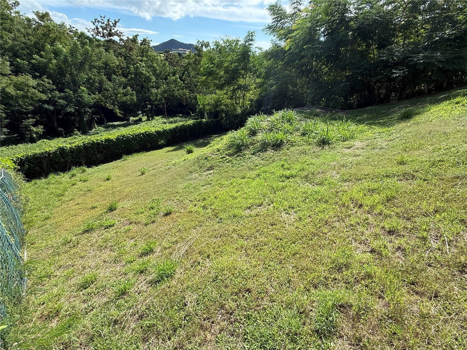 CARR 411 KM 0.20 BO. CALVACHE, RINCON PR 00677 - Residential