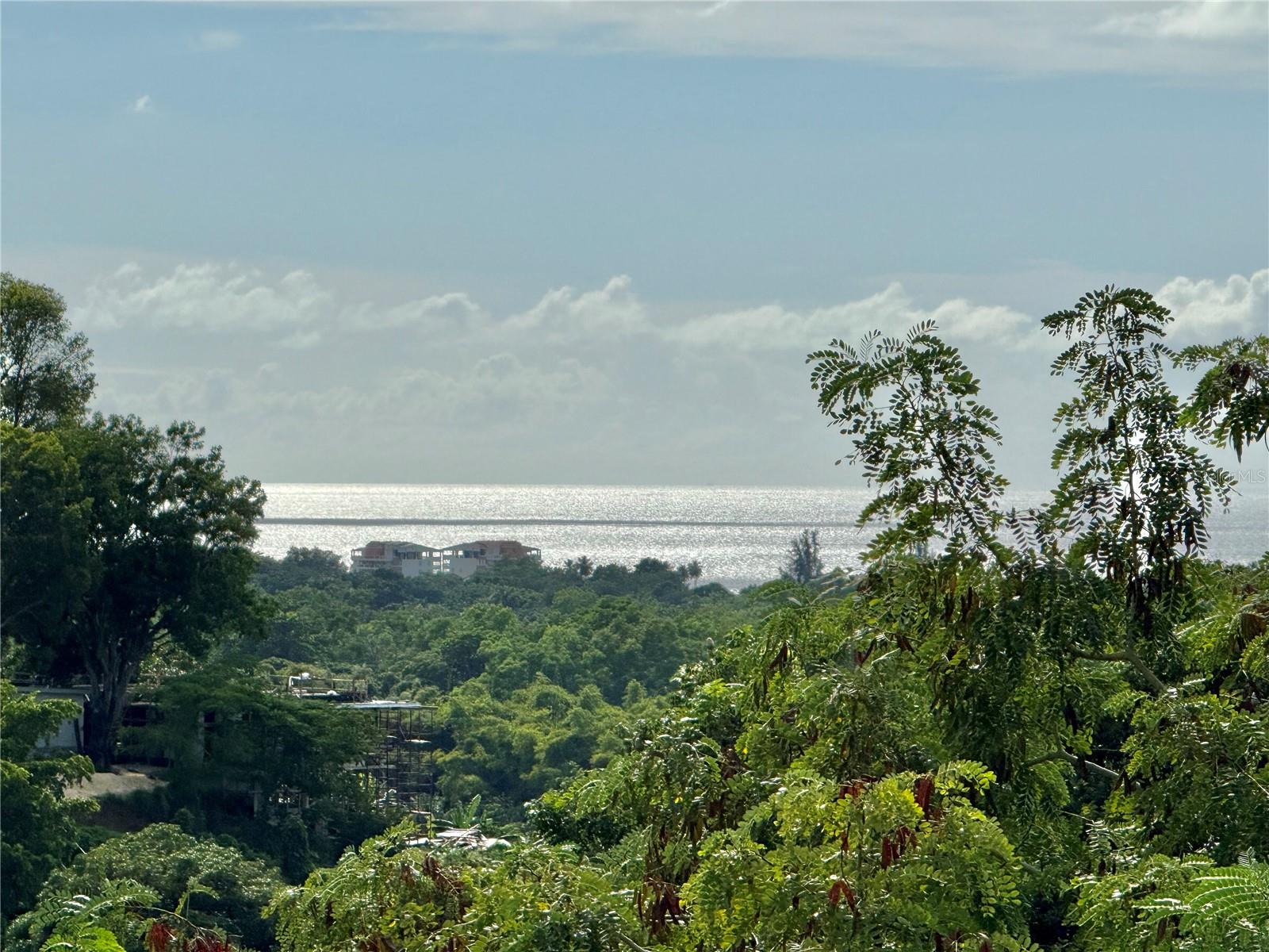 CARR 411 KM 0.20 BO. CALVACHE, RINCON PR 00677 - Residential