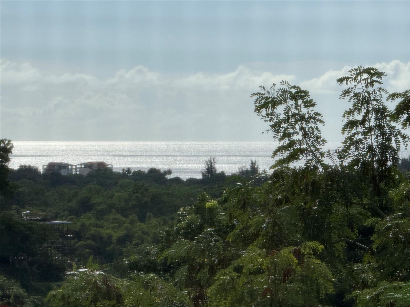 CARR 411 KM 0.20 BO. CALVACHE, RINCON PR 00677 - Residential