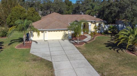 A home in SPRING HILL