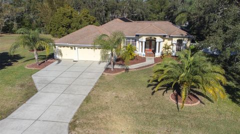 A home in SPRING HILL