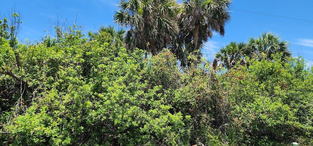 Photo of 108 Bebb Court, Rotonda West, FL 33947 (MLS # D6143971)