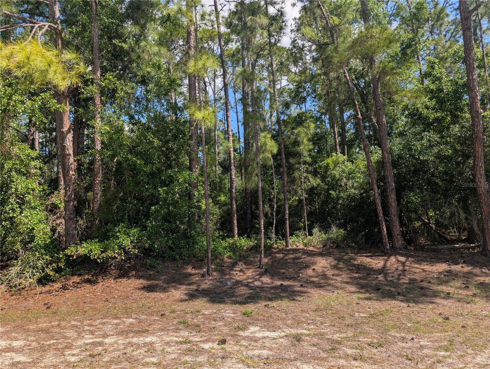 INDIAN LAKE ESTATES - Land