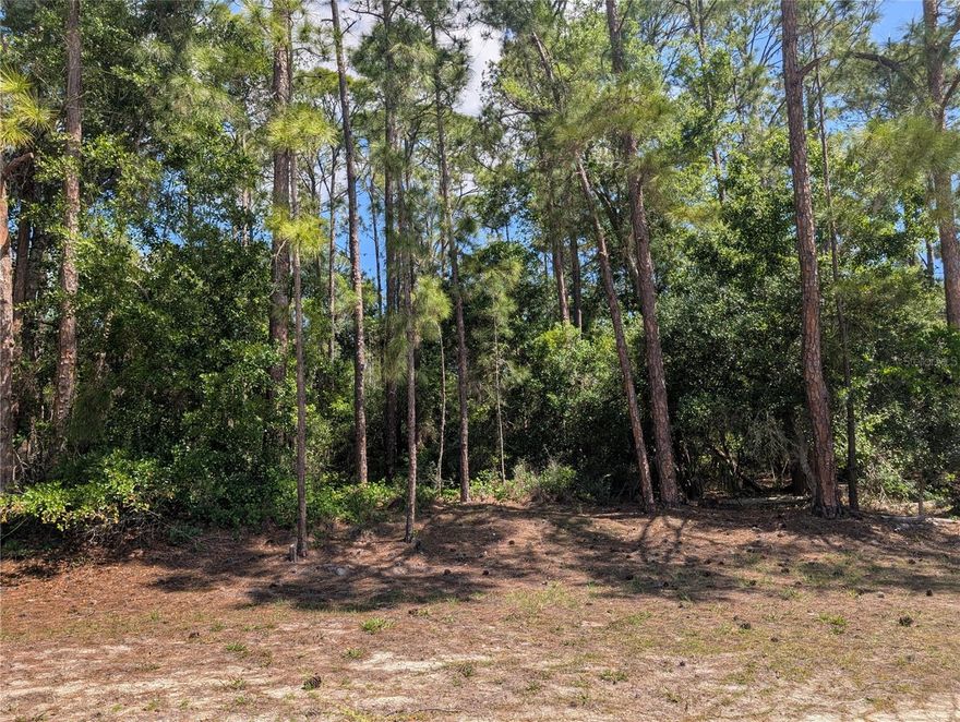Come build your forever home on this one-half ace lot that located in the lake community of Indian Lake Estates, a golfing, fishing and boating community in the center of Florida. You can be out on Lake Walk in Water fishing in just minutes! Indian Lake Estates is about 20 miles east of Lake Wales. The community surrounds the 7,500 acre lake locally known as Lake Walk In Water, nationally known for its fishing and considered to be one of the best bass fishing lakes in all Florida. The lake has a beach, boat ramp, boat marina and the longest freshwater Fishing pier in the State of Florida. The pavilion is located at the front of the pier and is complete with propane grills and covered picnic tables. The community amenities include an 18-hole golf course, basketball and tennis courts, 23, 000 sq.ft. clubhouse, cafe, post office, churches, library, fitness room and pro shop. If you love nature and the peace and quiet of the country you're in luck. Wildlife is plentiful! You will see deer, raccoon, turkey, turtles, cranes and various species of birds that call Indian Lake Estates their home.
Orlando and Disney is only about an hour's drive north and Tampa, Busch Gardens, and the Gulf's pristine beaches only a little over an hour west. Historic Bok Tower, a National Landmark, is in nearby Lake Wales. The Westgate River Ranch Resort and Rodeo is just six miles away. An authentic Florida dude ranch and full-service resort offering guests the opportunity to experience "Old Florida." Encompassing 1,700 beautiful acres, Westgate River Ranch features horseback riding, wildlife airboat and swamp buggy rides, Saturday night championship rodeo, trap/skeet range, nature hikes, petting farm, marina, Adventure Park with zip line and rock climbing wall, Westgate Smokehouse Grill and River Ranch Saloon and much more. Cowboy-themed accommodations range from ranch-themed lodge guestrooms and deluxe lodge suites to spacious cottages, two-bedroom cabins, Glamping and Luxe Teepees. Come out and see how great life can be at Indian Lake Estates! Polk County's best kept secret!