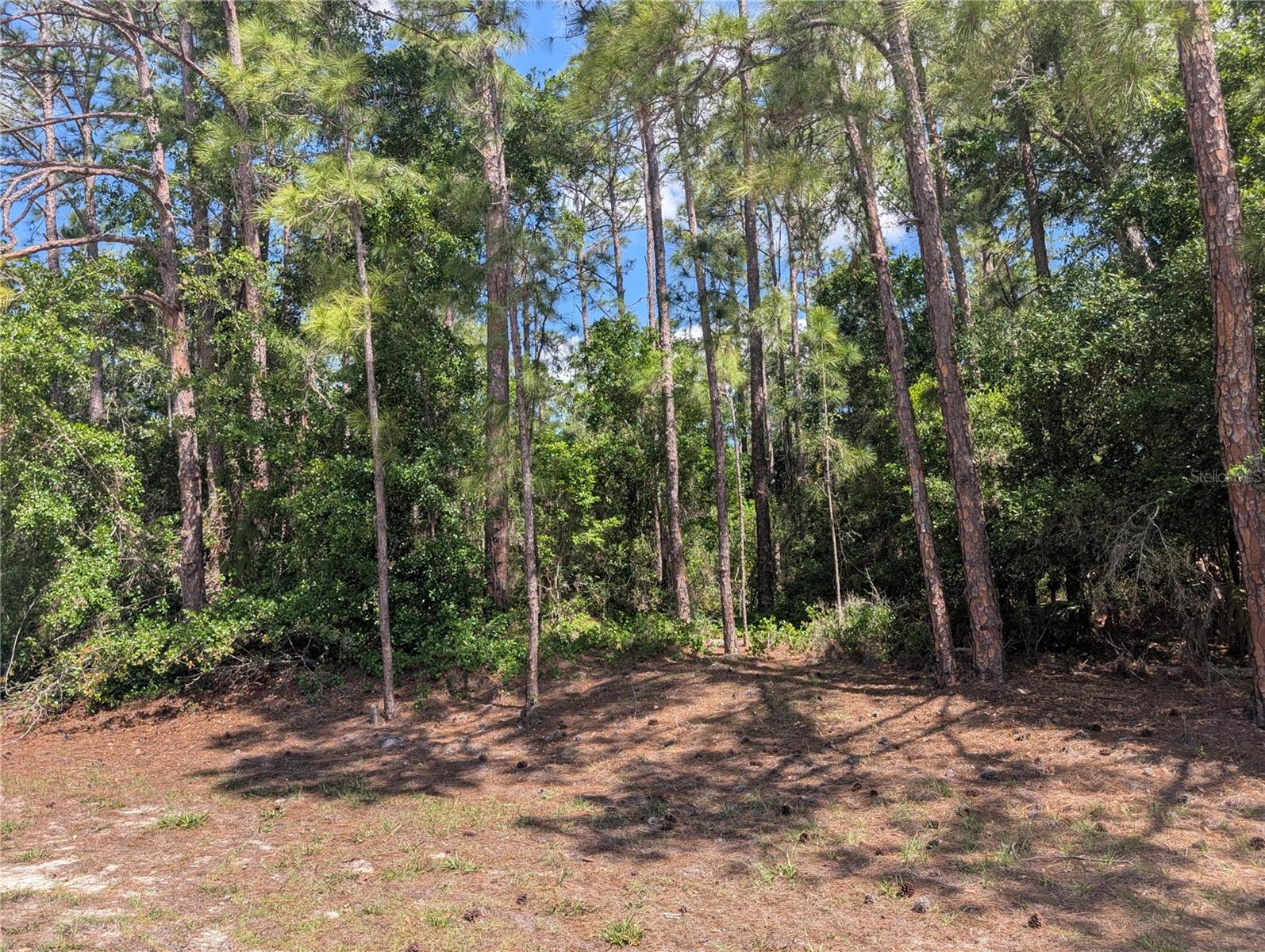 INDIAN LAKE ESTATES - Land