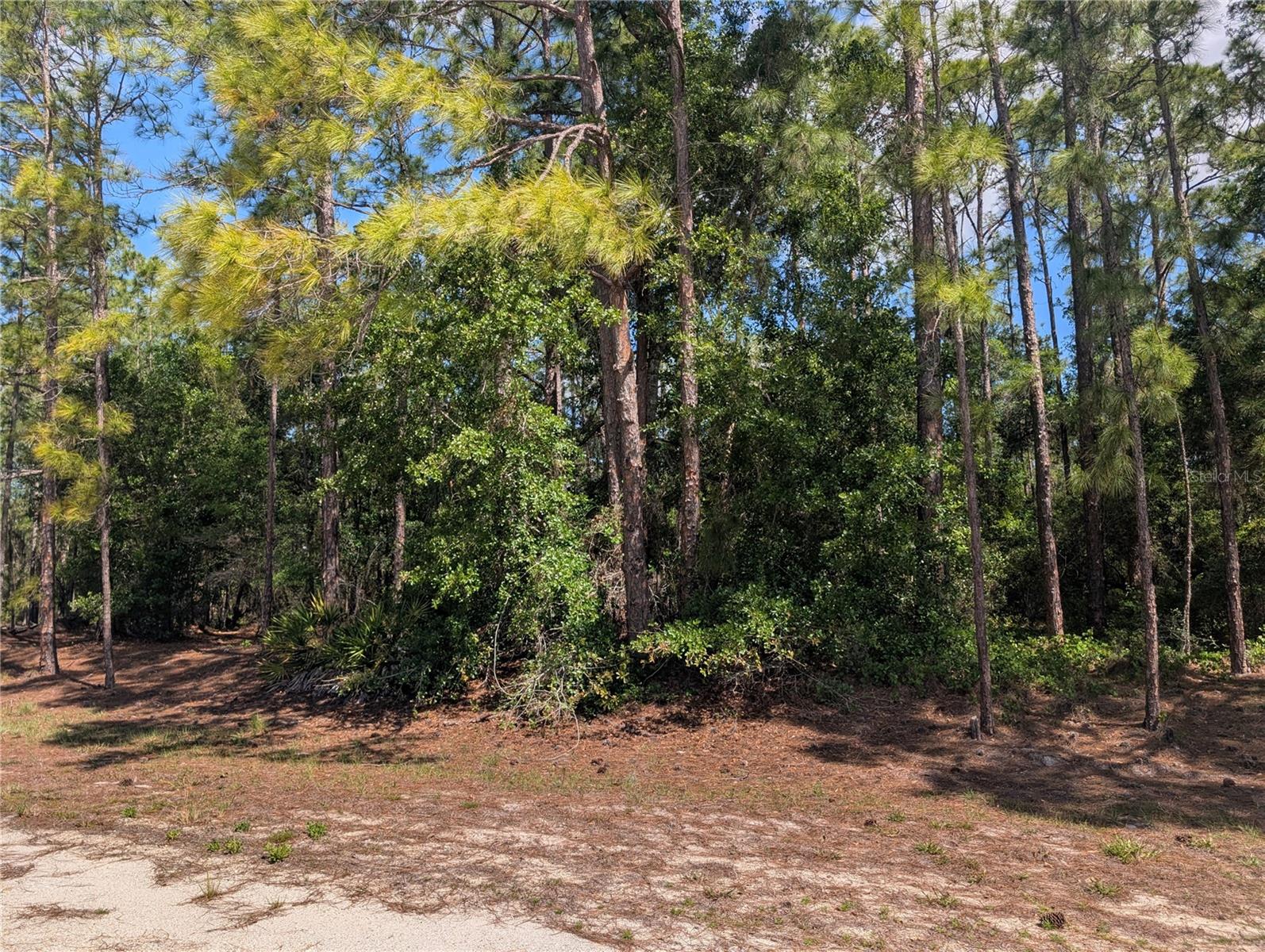 INDIAN LAKE ESTATES - Land
