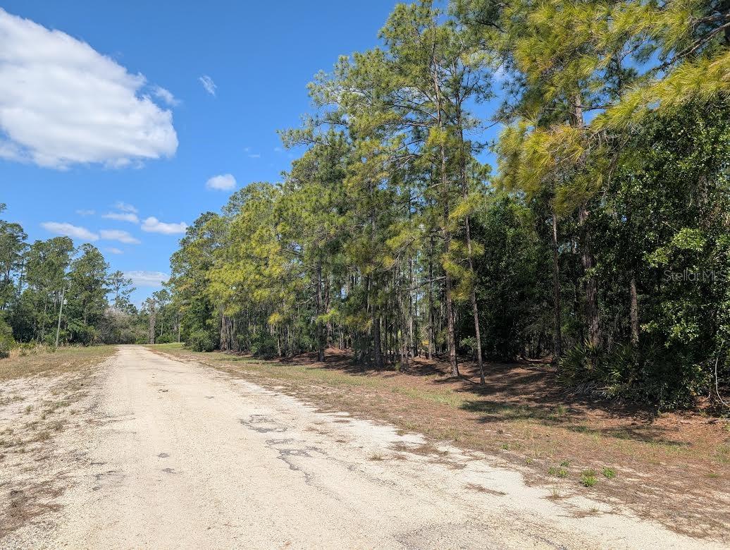 INDIAN LAKE ESTATES - Land