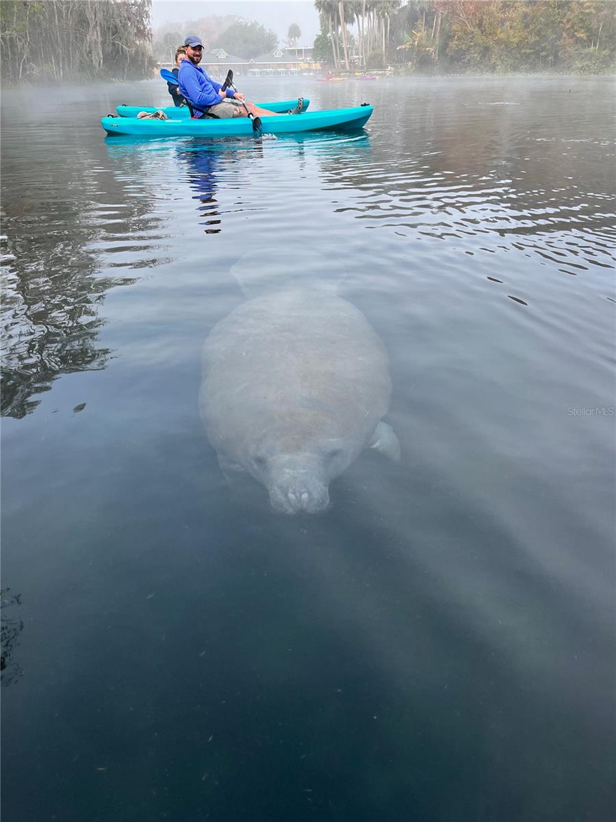 TOWN PARK AT THE WILDERNESS RV PARK ESTATES - Residential