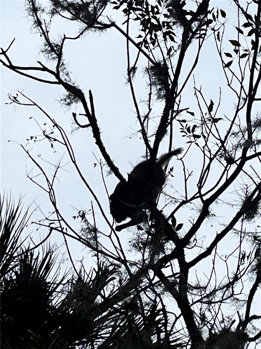 TOWN PARK AT THE WILDERNESS RV PARK ESTATES - Residential