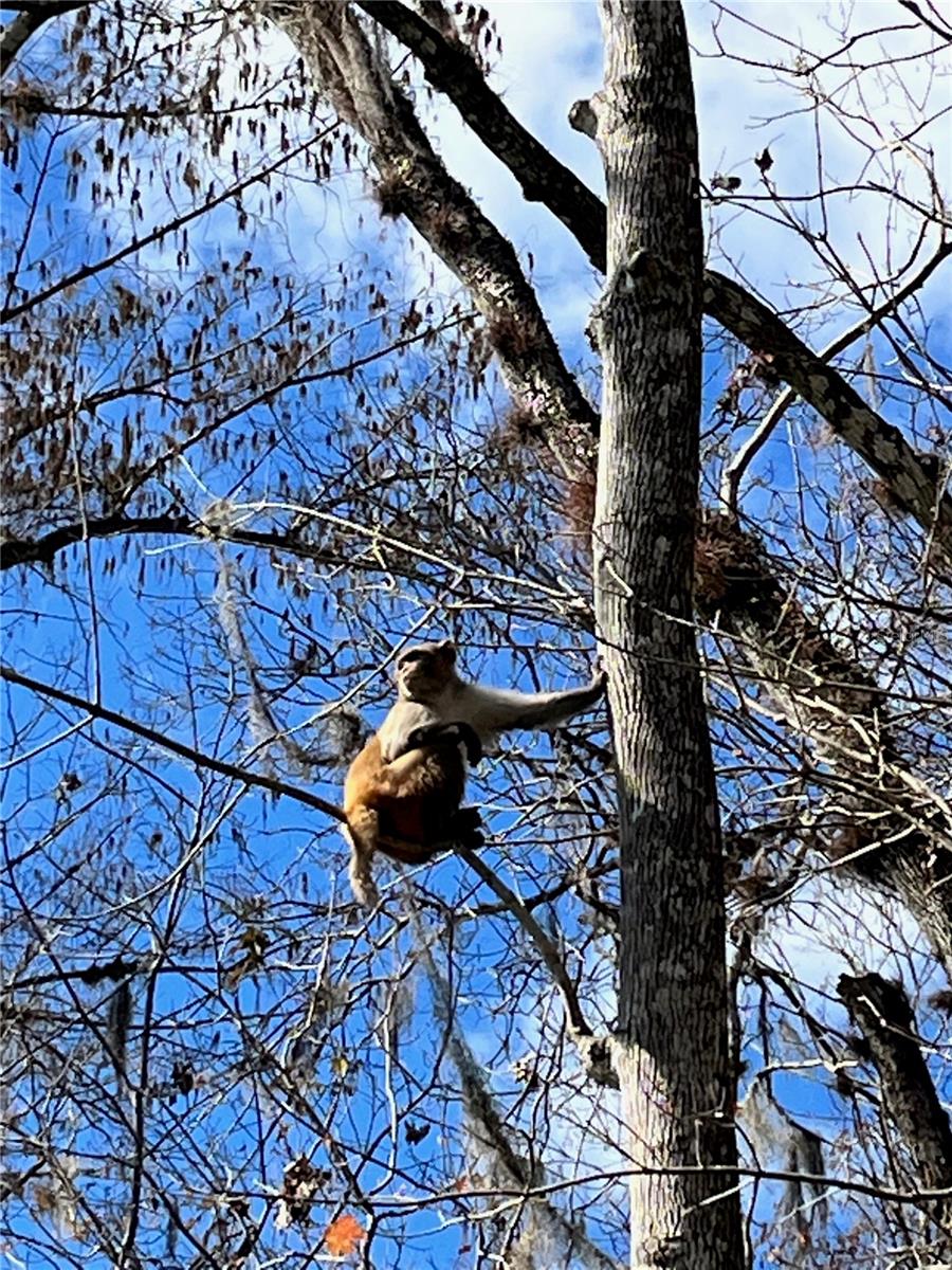 TOWN PARK AT THE WILDERNESS RV PARK ESTATES - Residential