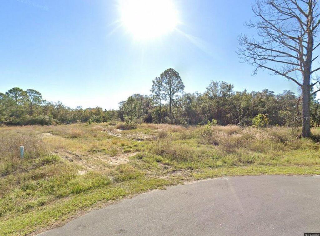 Photo of 316 Bass Lane, Kissimmee, FL 34759 (MLS # S5143130)