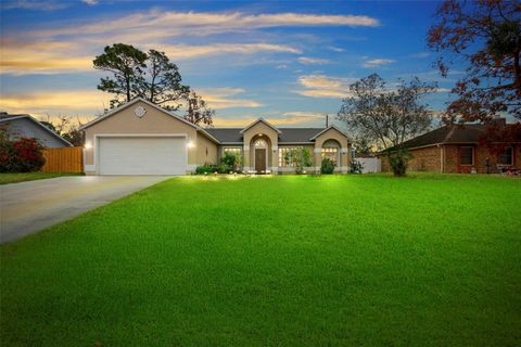 A home in DELTONA