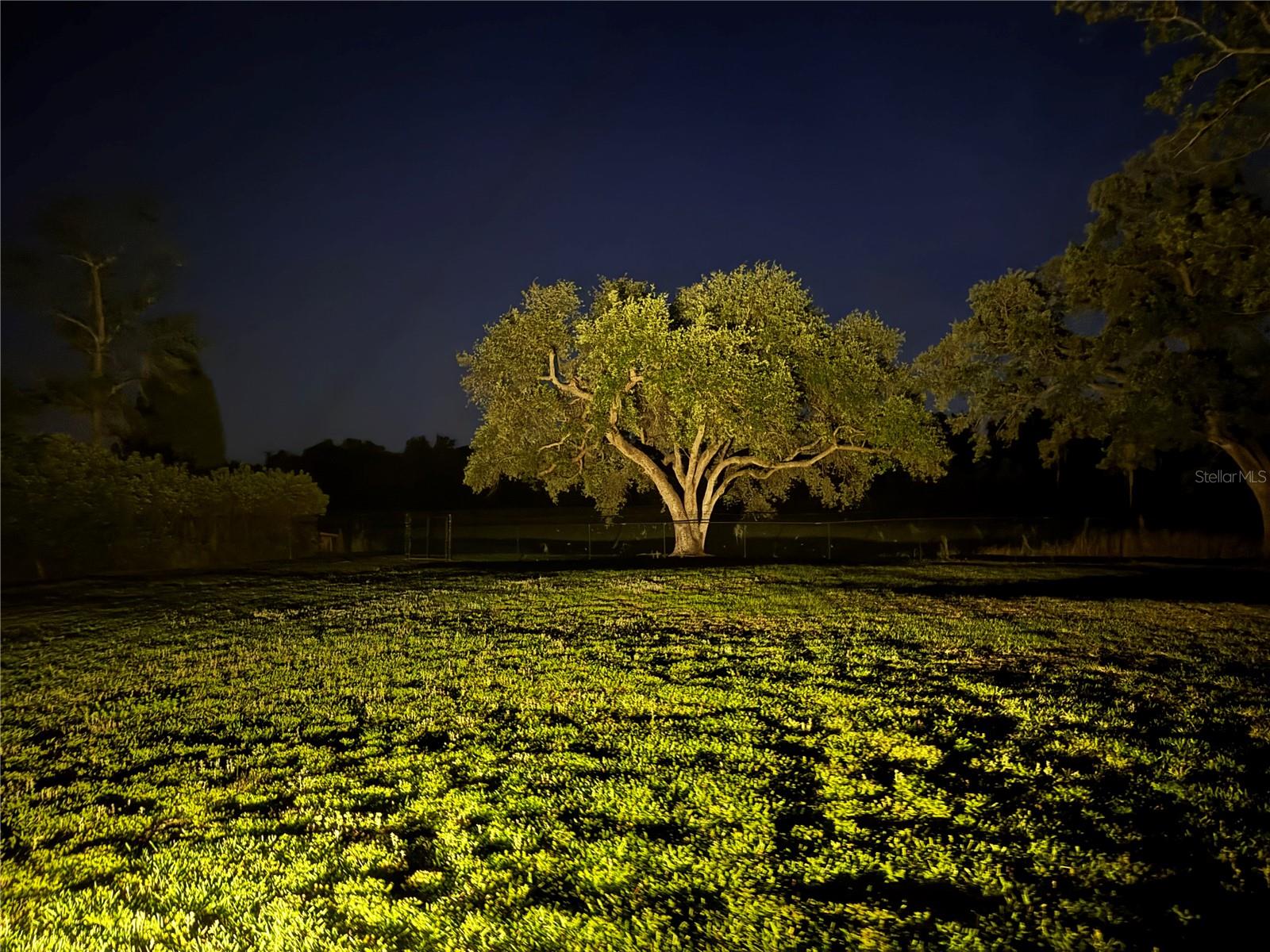 W F HALLAM & COS FARMING & TRUCKING LANDS - Residential