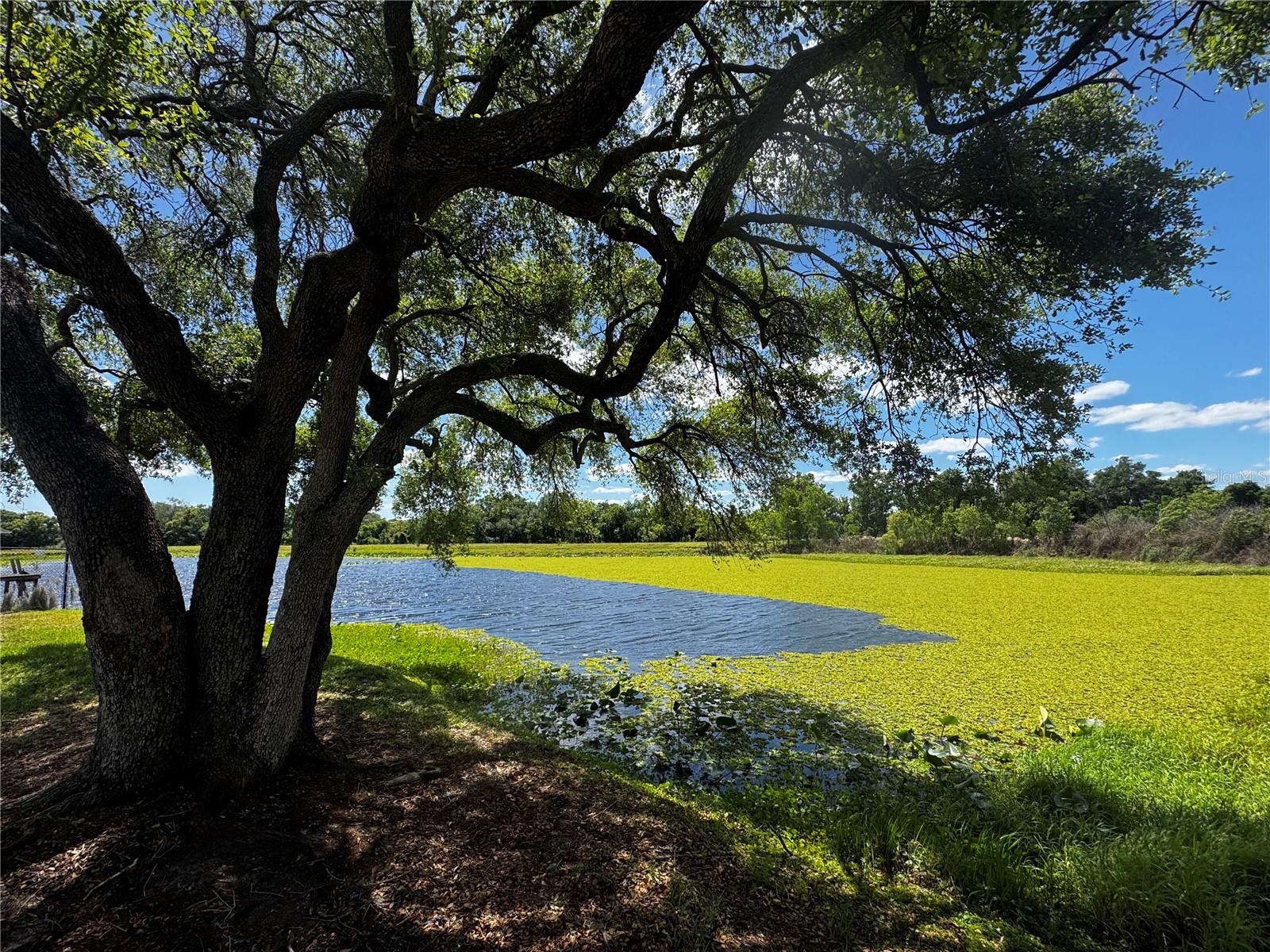 W F HALLAM & COS FARMING & TRUCKING LANDS - Residential