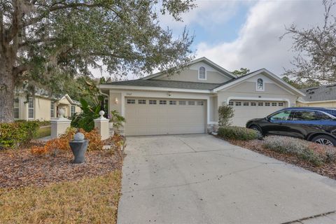 3502 CHAPEL CREEK CIRCLE WESLEY CHAPEL FL 33544