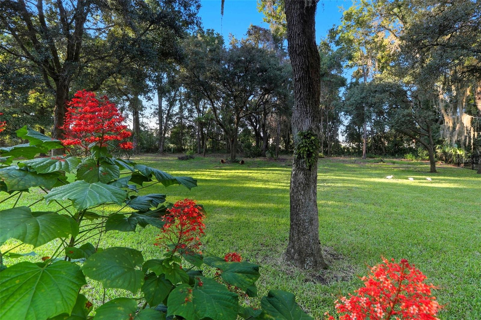 HAMPTON HILLS - Residential