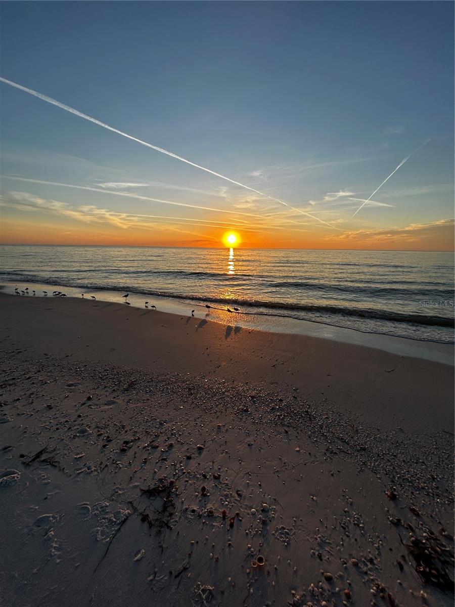 REGATTA BEACH CLUB CONDO - Residential