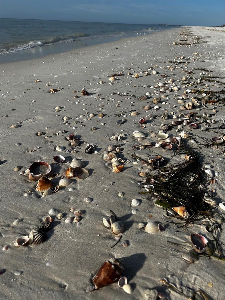 REGATTA BEACH CLUB CONDO - Residential