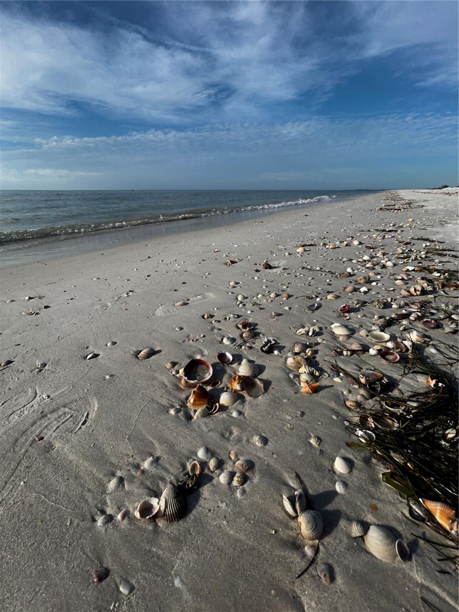 REGATTA BEACH CLUB CONDO - Residential