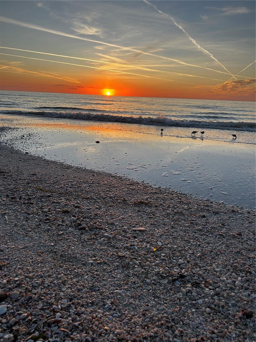 REGATTA BEACH CLUB CONDO - Residential