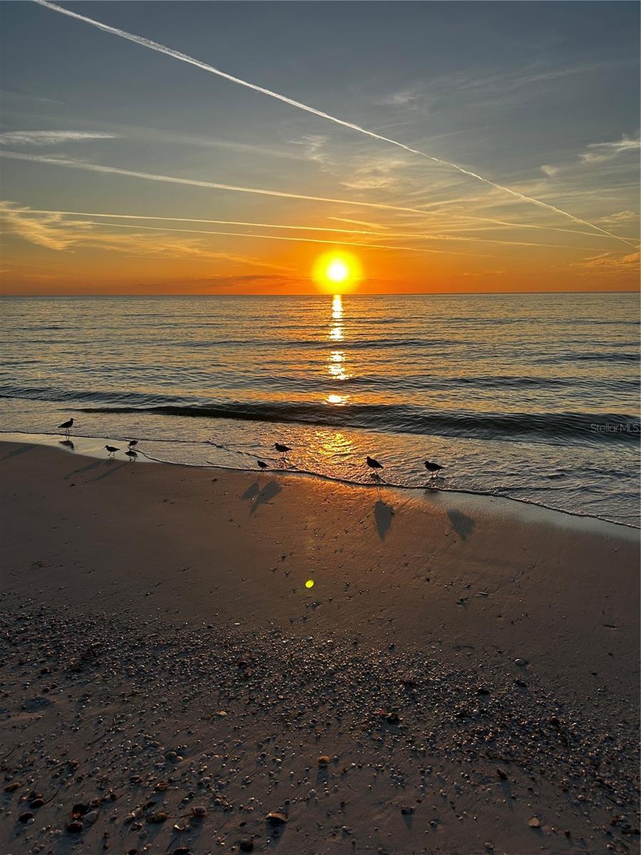 REGATTA BEACH CLUB CONDO - Residential