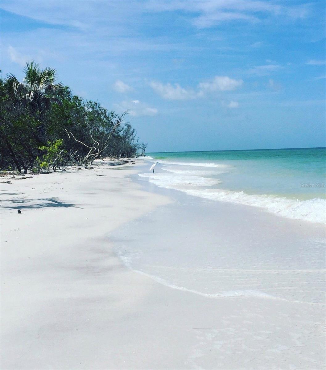 REGATTA BEACH CLUB CONDO - Residential