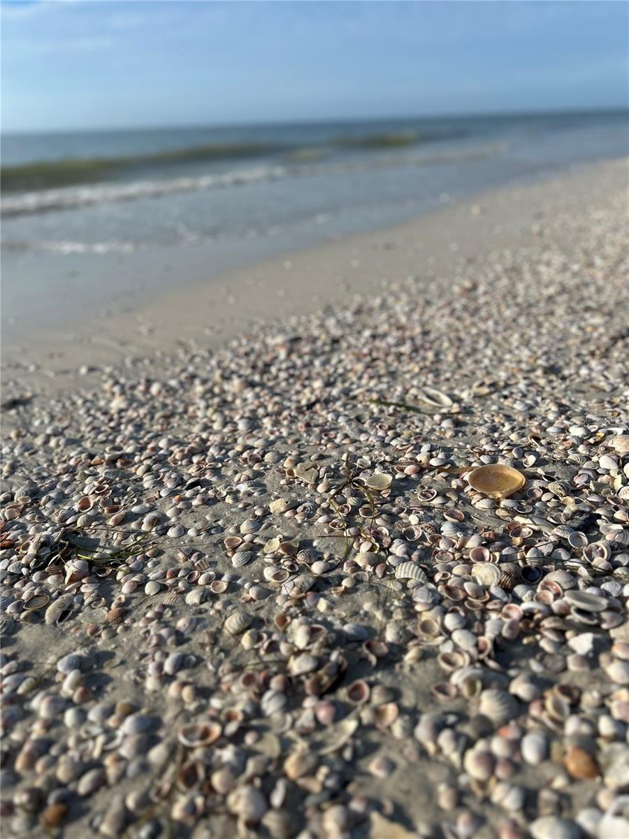 REGATTA BEACH CLUB CONDO - Residential