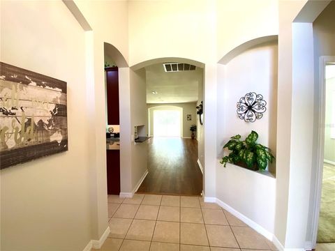 A home in VALRICO