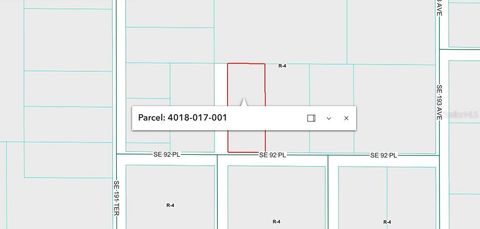 Tiny photo for SE 92 Place, Ocklawaha, FL 32179 (MLS # FC317357)