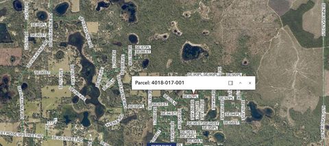 Tiny photo for SE 92 Place, Ocklawaha, FL 32179 (MLS # FC317357)