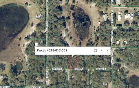 Photo of SE 92 Place, Ocklawaha, FL 32179 (MLS # FC317357)