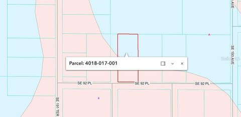 Tiny photo for SE 92 Place, Ocklawaha, FL 32179 (MLS # FC317357)