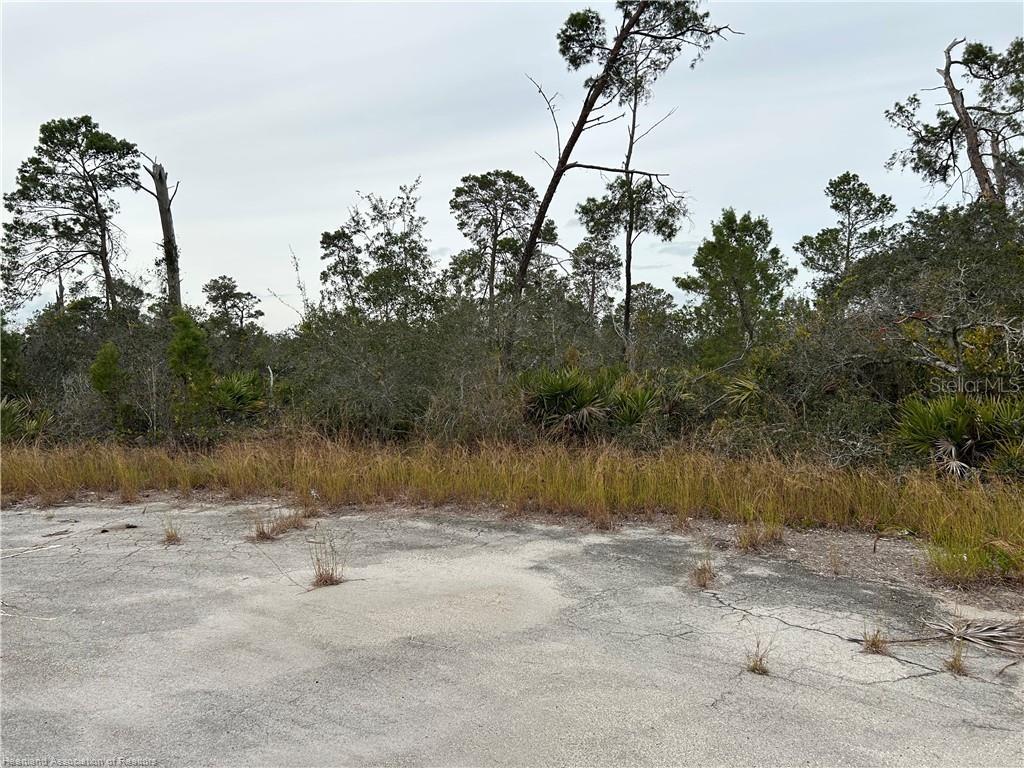 PLACID LAKES SEC 20 - Land