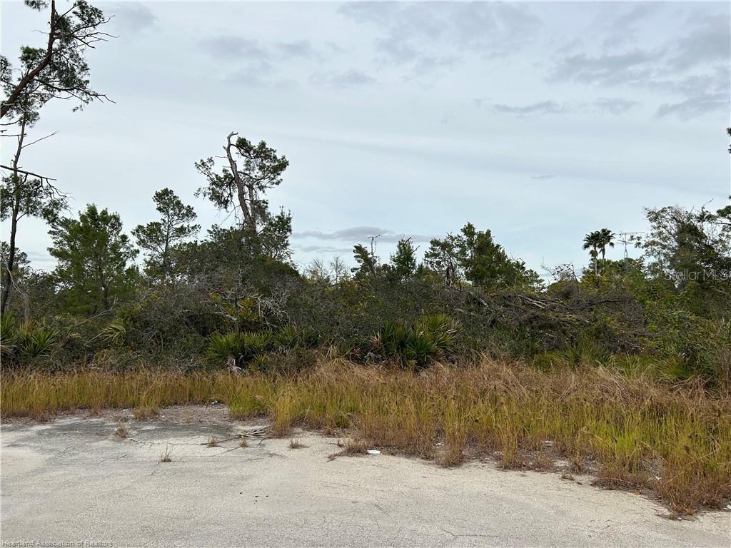 PLACID LAKES SEC 20 - Land