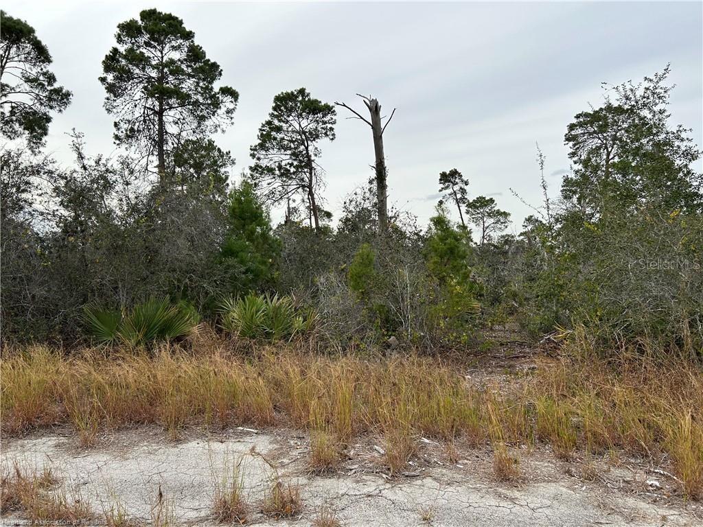 PLACID LAKES SEC 20 - Land