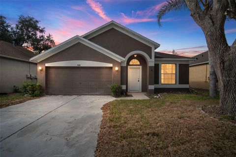 930 GRAND CANYON DRIVE VALRICO FL 33594