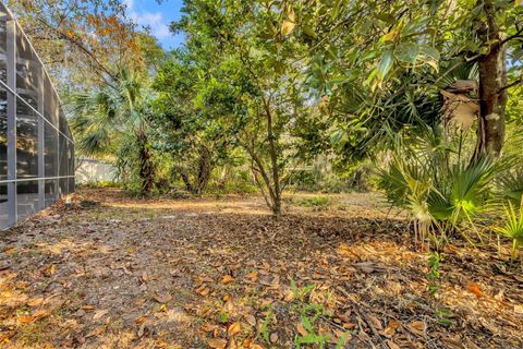 A home in DELAND