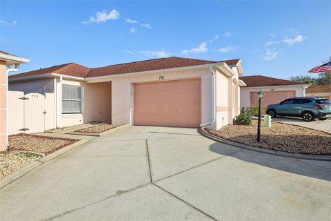 731 HERNANDEZ DRIVE THE VILLAGES FL 32159