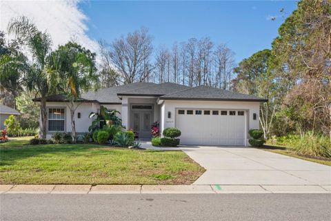 A home in WEEKI WACHEE