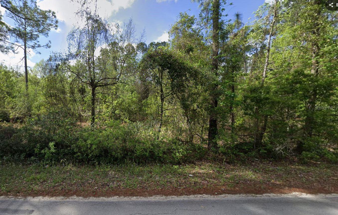 505 HICKORY NUT TRAIL