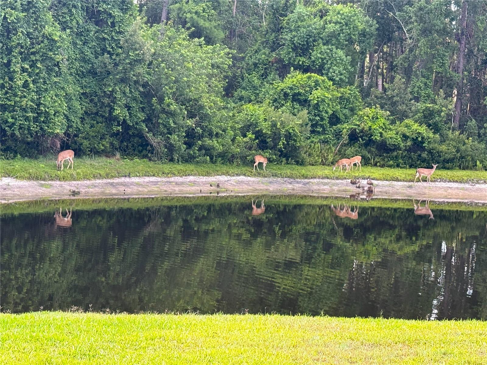 FALLBROOK PH 2 - Residential