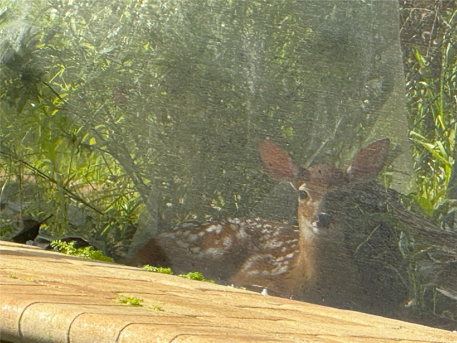 FALLBROOK PH 2 - Residential