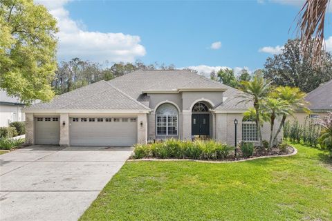 4941 KYLEMORE COURT PALM HARBOR FL 34685
