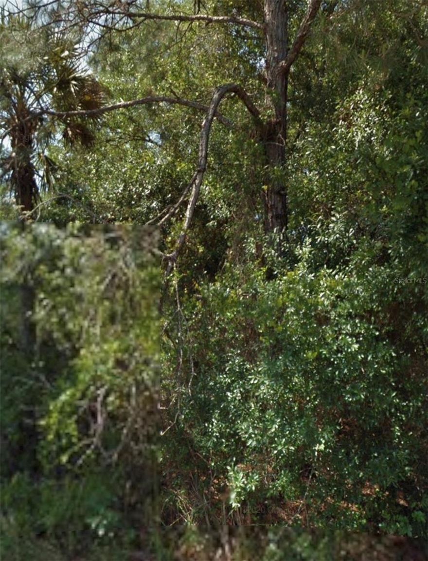 Great lot to build your home