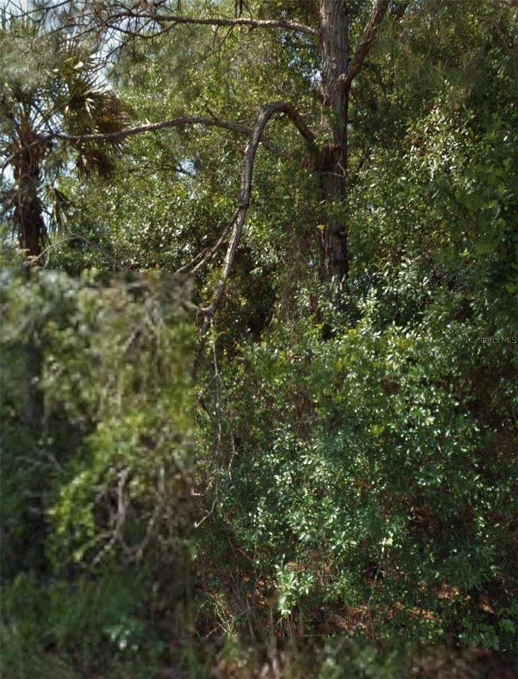 Photo of Ohio Road, North Port, FL 34291 (MLS # A4692583)