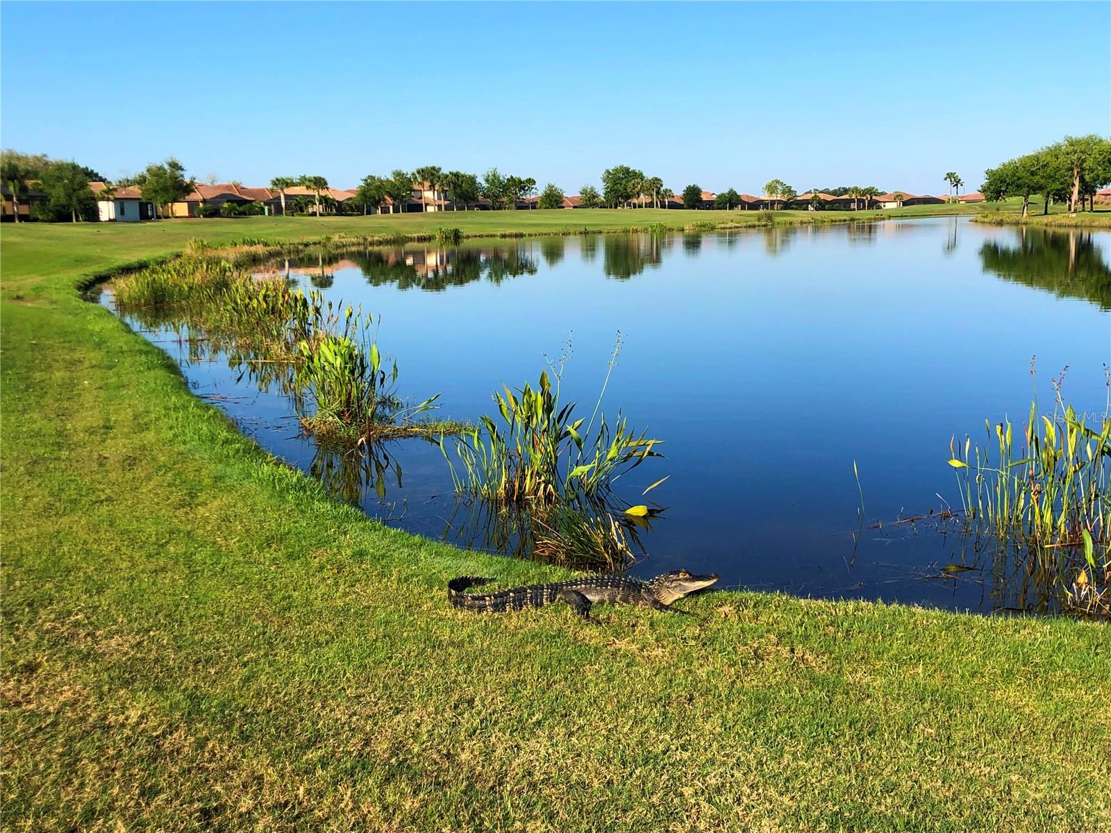 HERITAGE HARBOUR SUBPHASE E - Residential