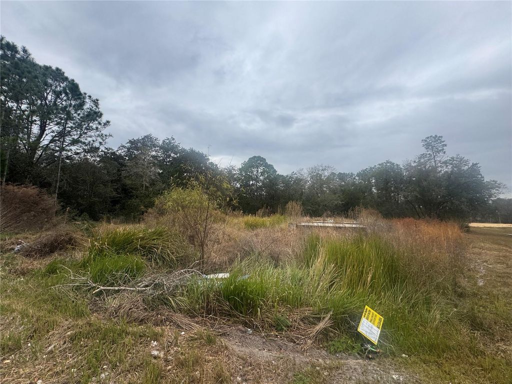 Photo of 1443 Tern Court, Poinciana, FL 34759 (MLS # O6378720)